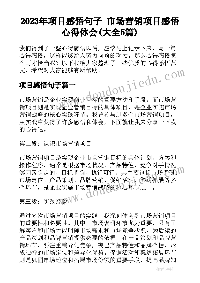 2023年项目感悟句子 市场营销项目感悟心得体会(大全5篇)