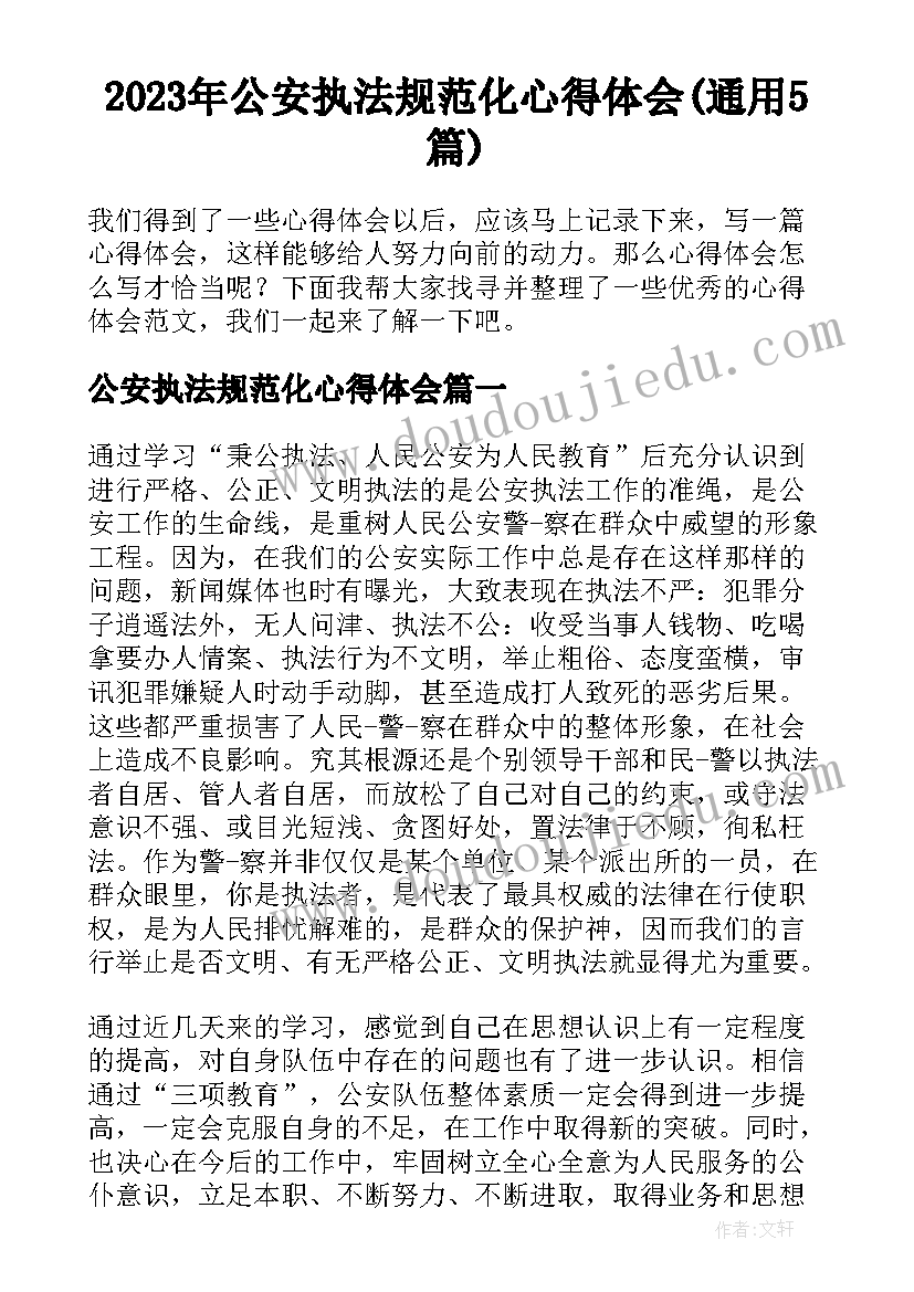 2023年公安执法规范化心得体会(通用5篇)