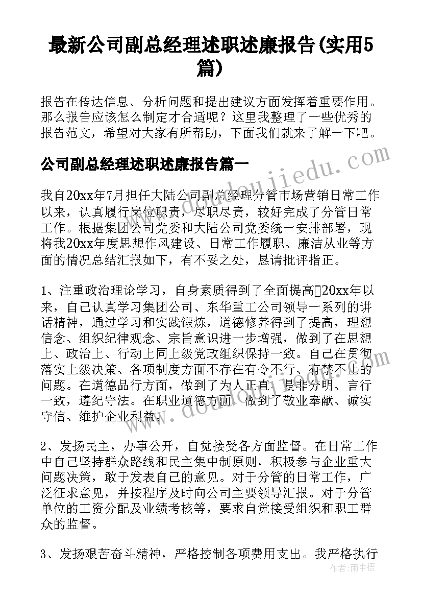 最新公司副总经理述职述廉报告(实用5篇)