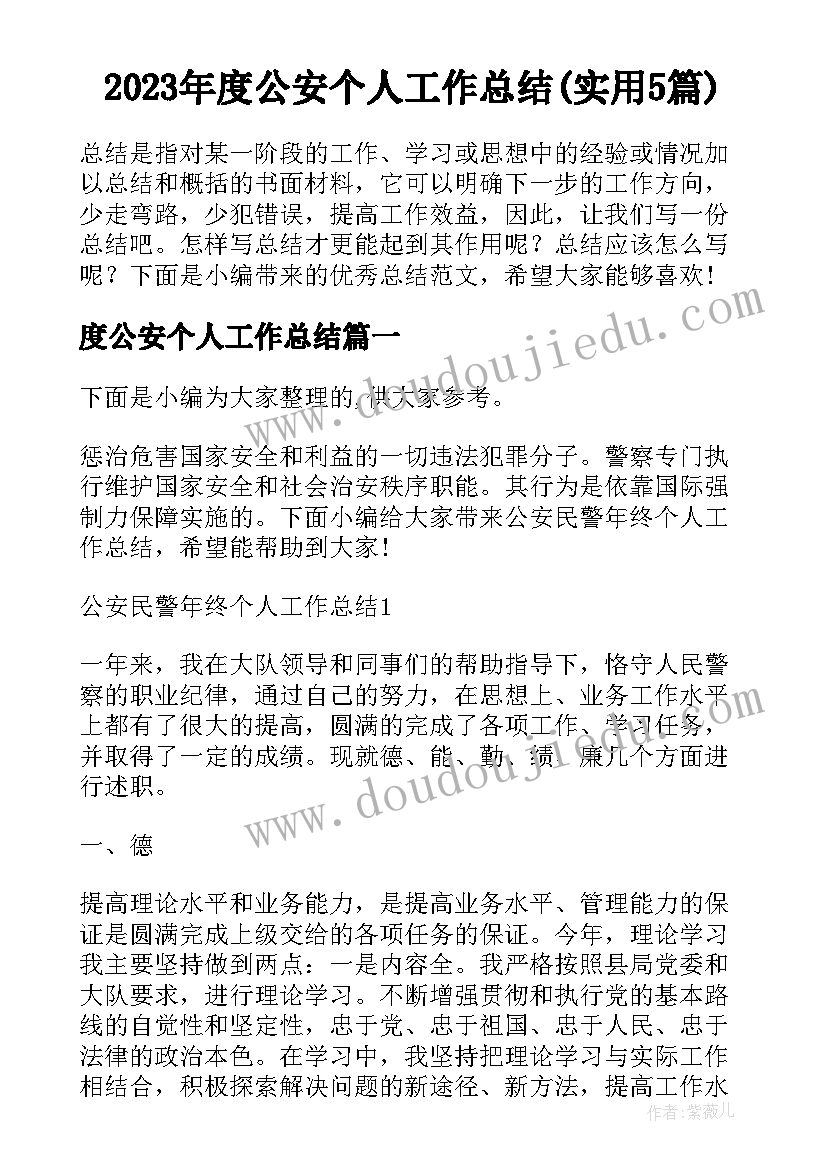 2023年度公安个人工作总结(实用5篇)