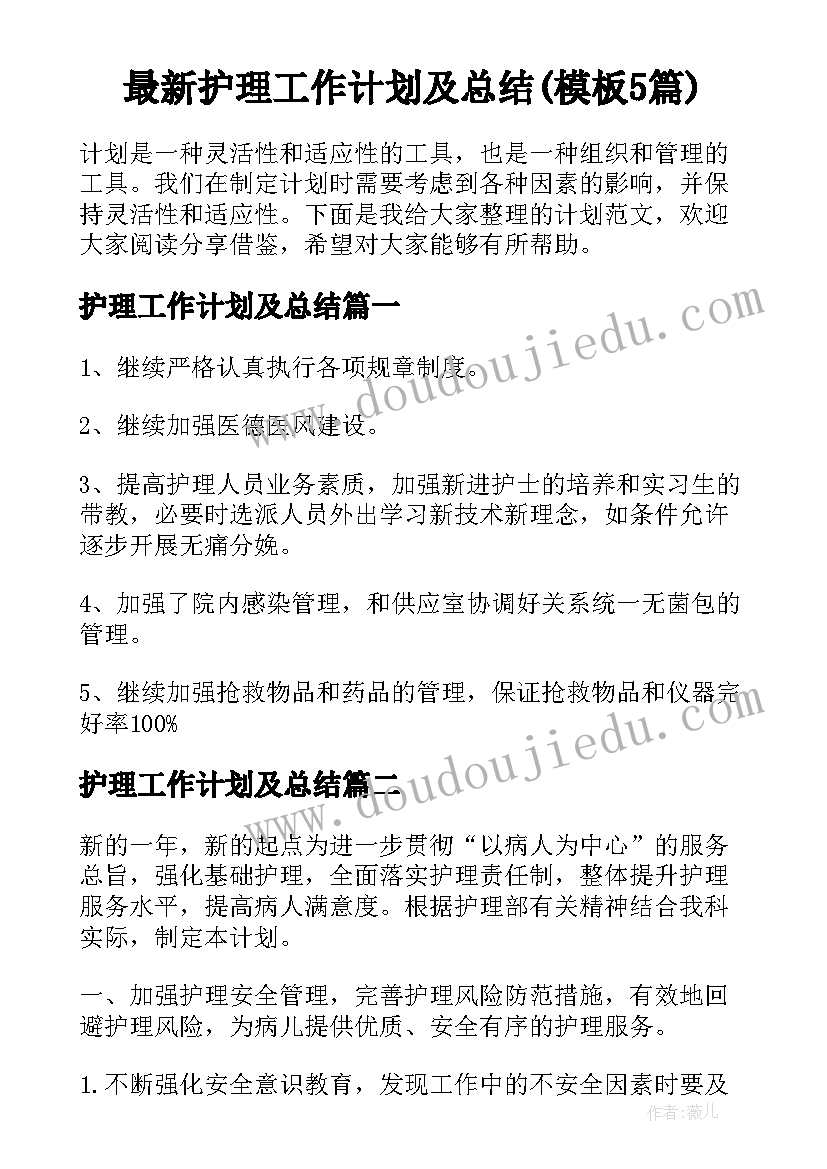 最新护理工作计划及总结(模板5篇)