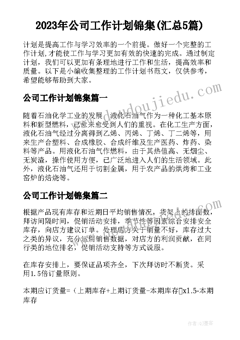 2023年公司工作计划锦集(汇总5篇)