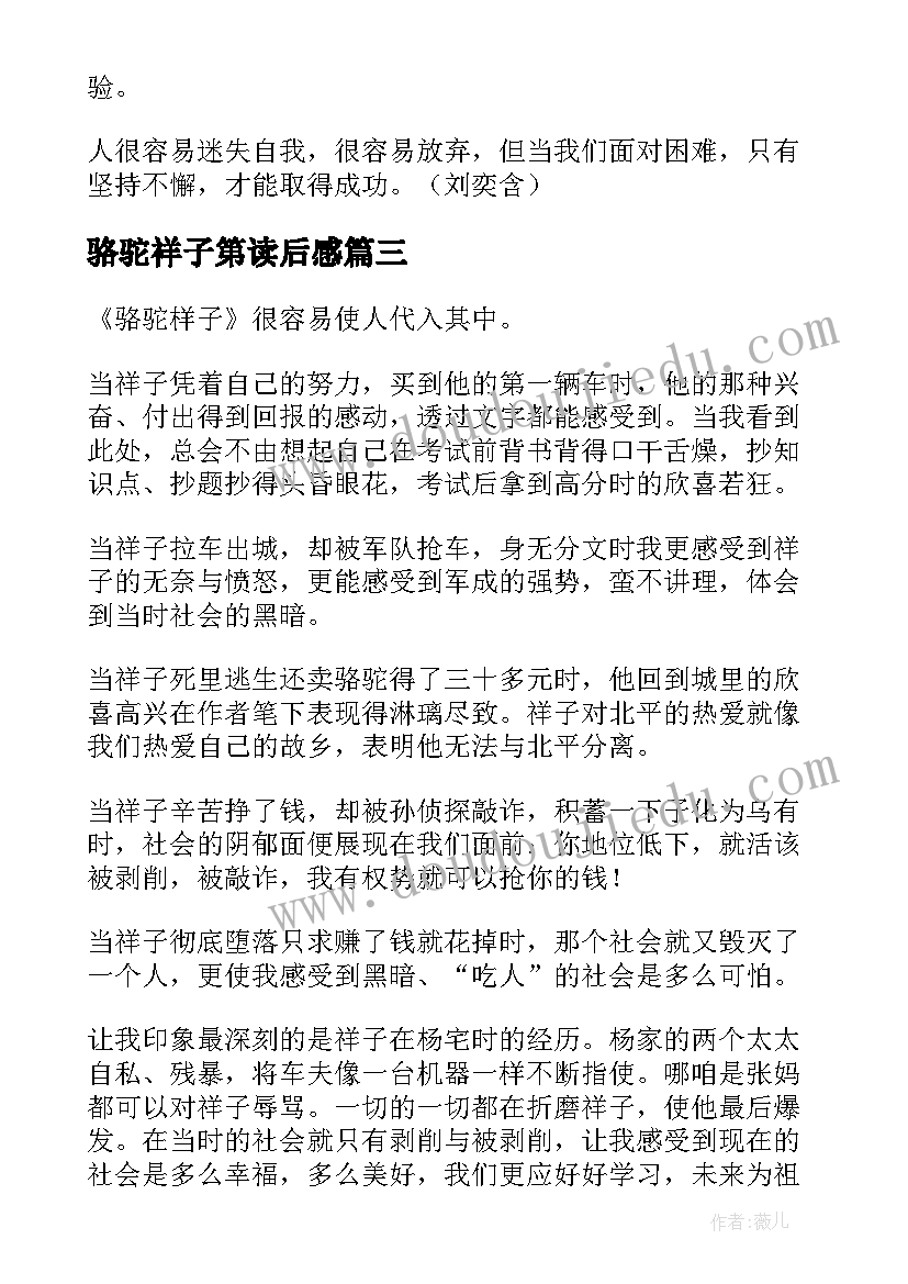 骆驼祥子第读后感 骆驼祥子读后感(通用7篇)