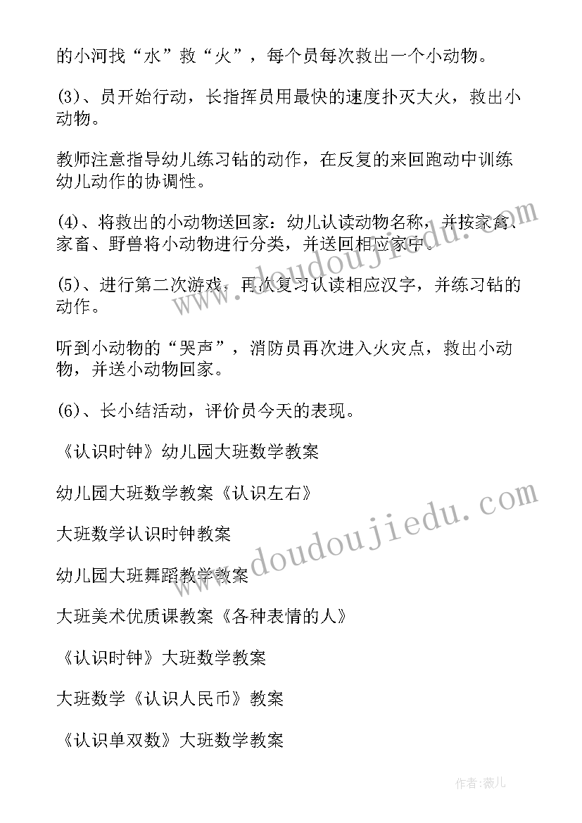 2023年大班安全认识消防器材教案反思(精选5篇)