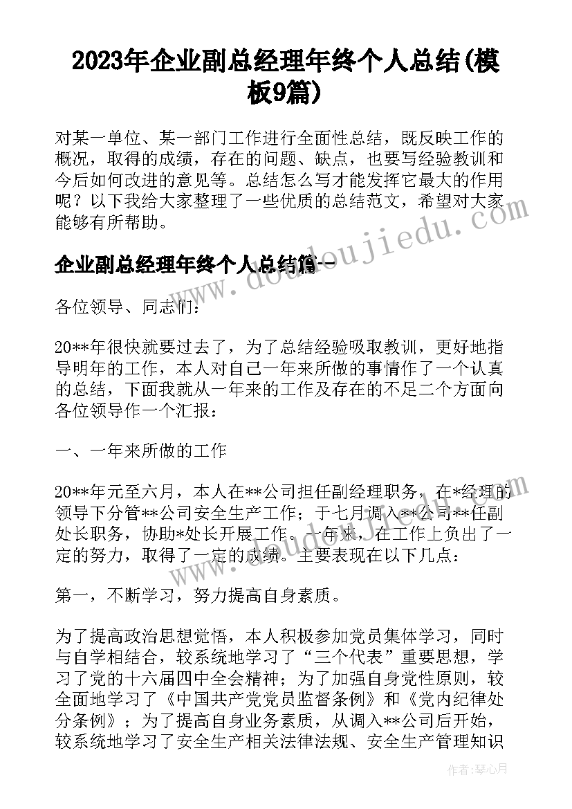 2023年企业副总经理年终个人总结(模板9篇)