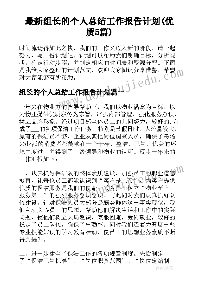 最新组长的个人总结工作报告计划(优质5篇)