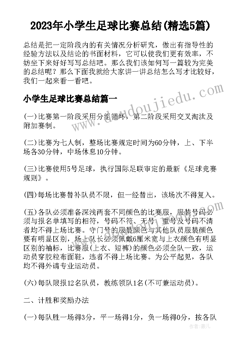 2023年小学生足球比赛总结(精选5篇)