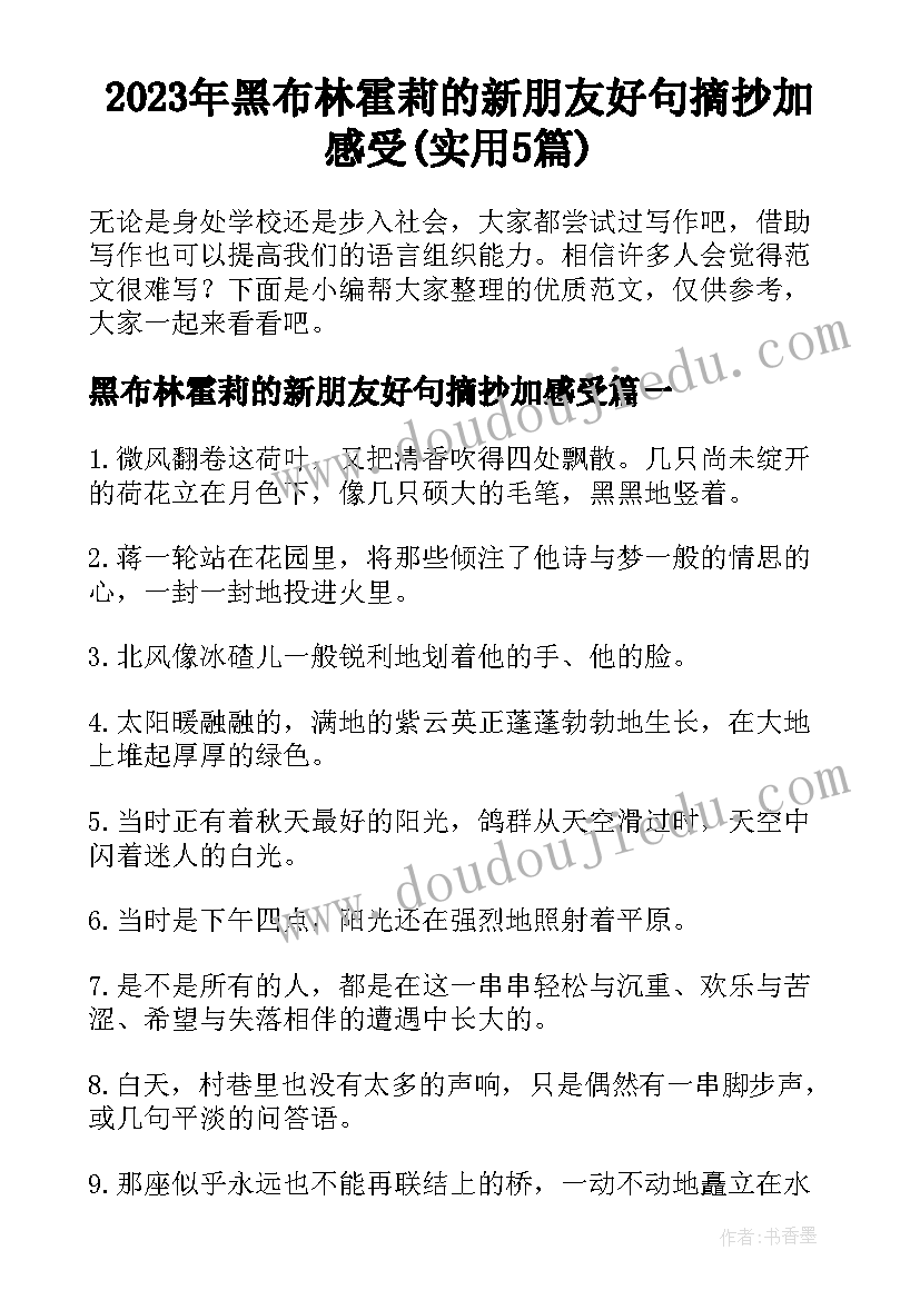 2023年黑布林霍莉的新朋友好句摘抄加感受(实用5篇)