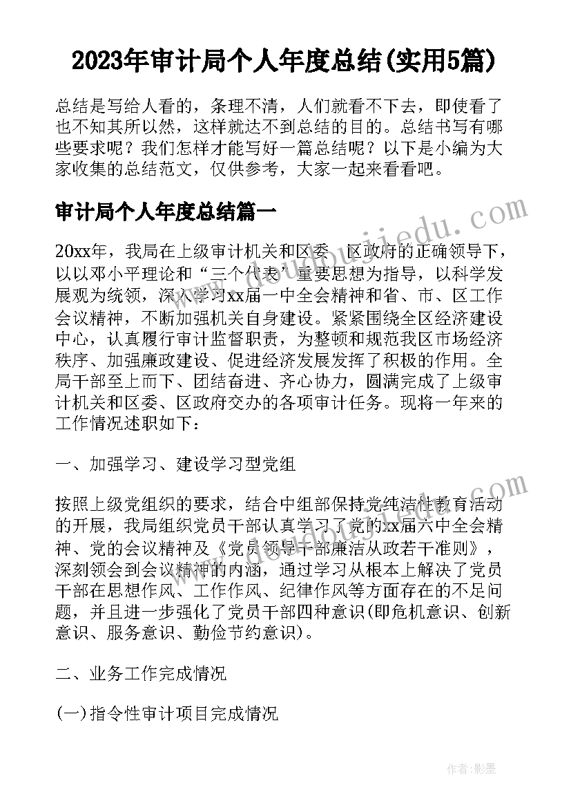 2023年审计局个人年度总结(实用5篇)