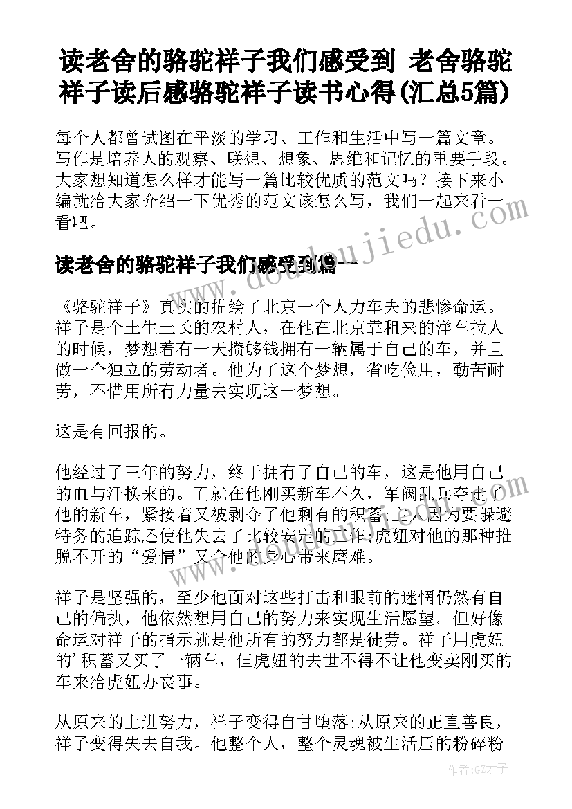 读老舍的骆驼祥子我们感受到 老舍骆驼祥子读后感骆驼祥子读书心得(汇总5篇)