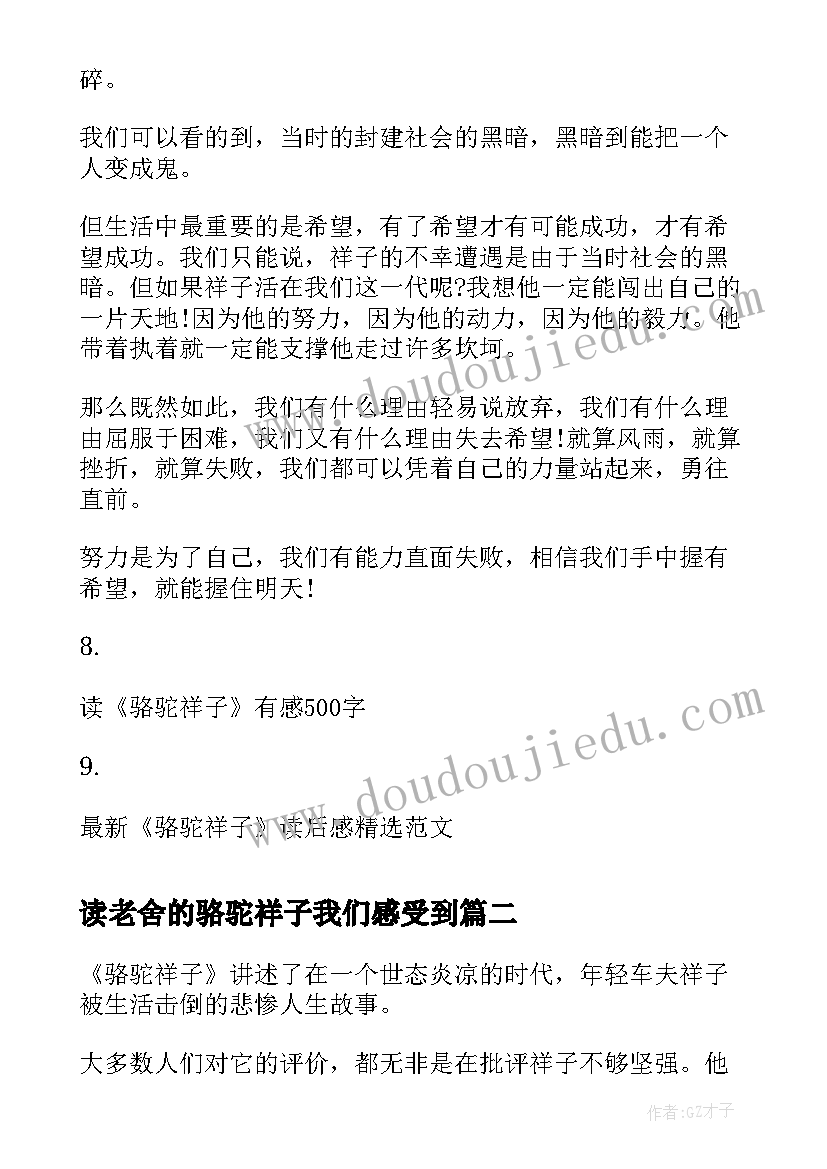 读老舍的骆驼祥子我们感受到 老舍骆驼祥子读后感骆驼祥子读书心得(汇总5篇)