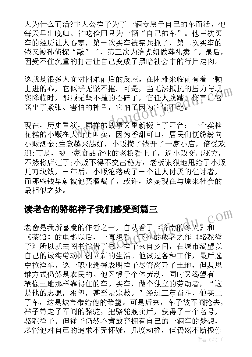 读老舍的骆驼祥子我们感受到 老舍骆驼祥子读后感骆驼祥子读书心得(汇总5篇)