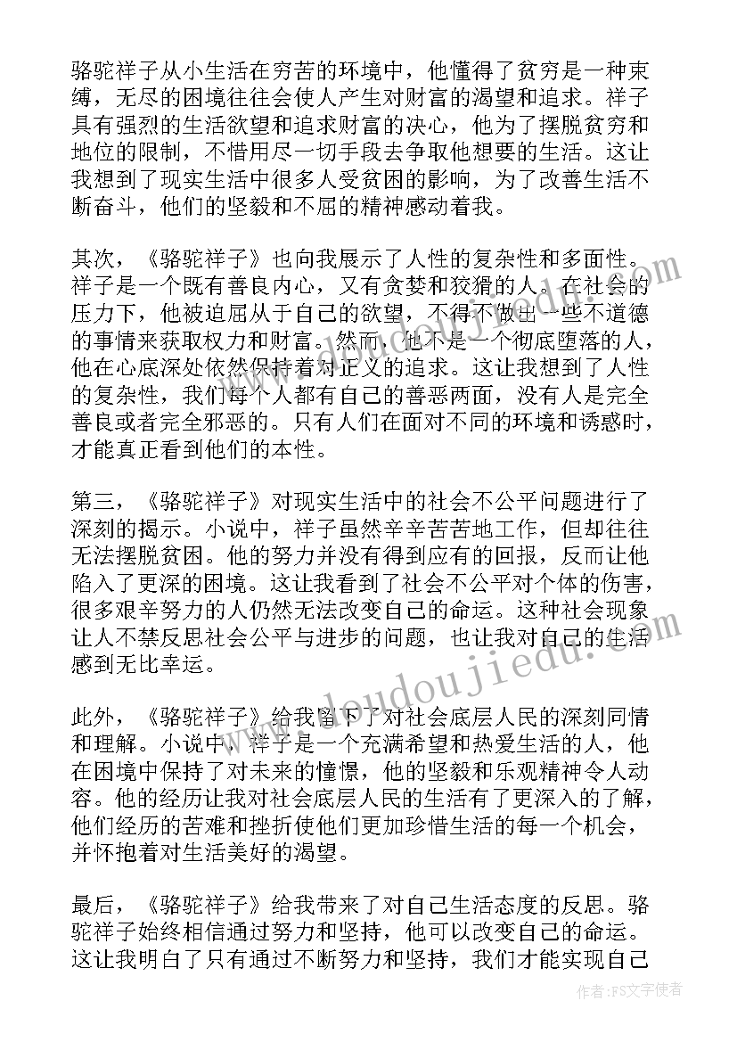 最新骆驼祥子第十一章读后感受(优质8篇)