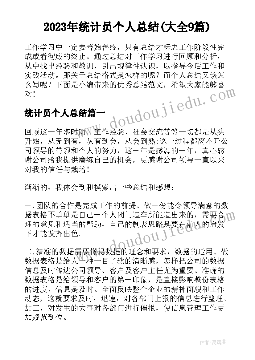 2023年统计员个人总结(大全9篇)