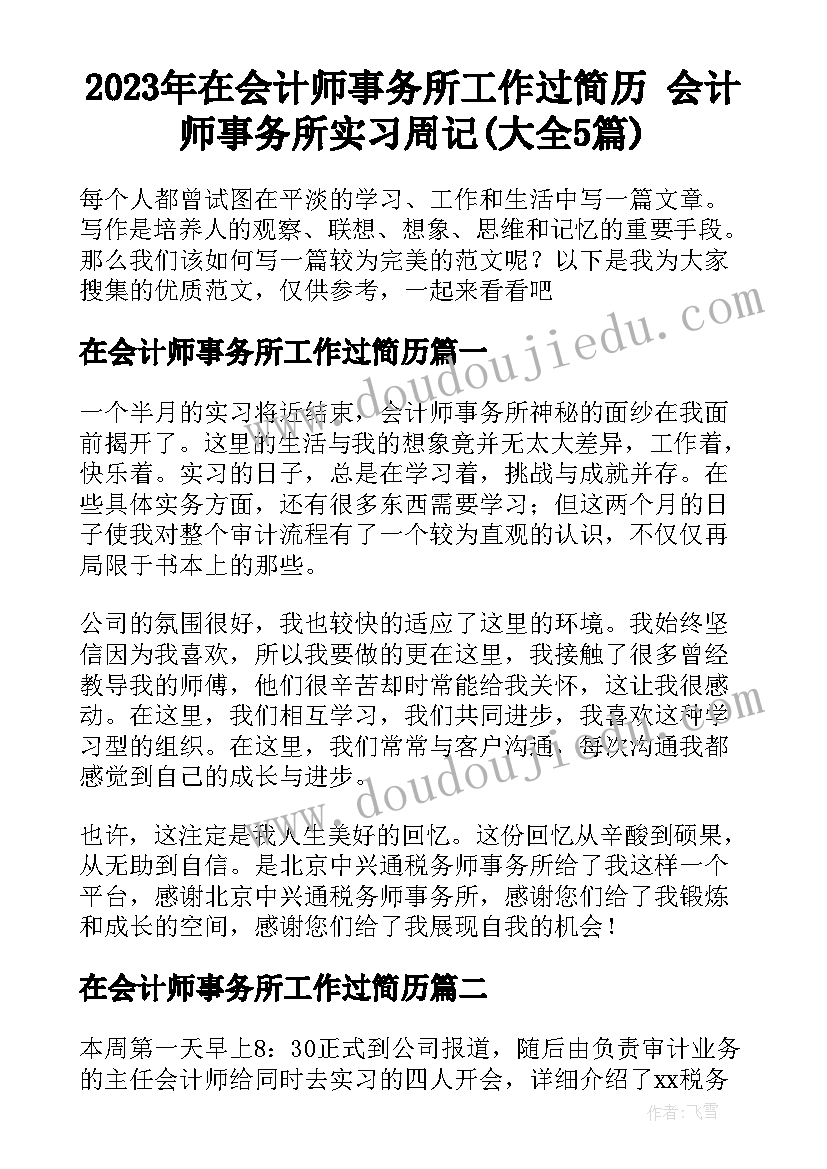 2023年在会计师事务所工作过简历 会计师事务所实习周记(大全5篇)