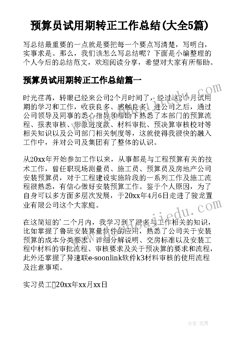 预算员试用期转正工作总结(大全5篇)