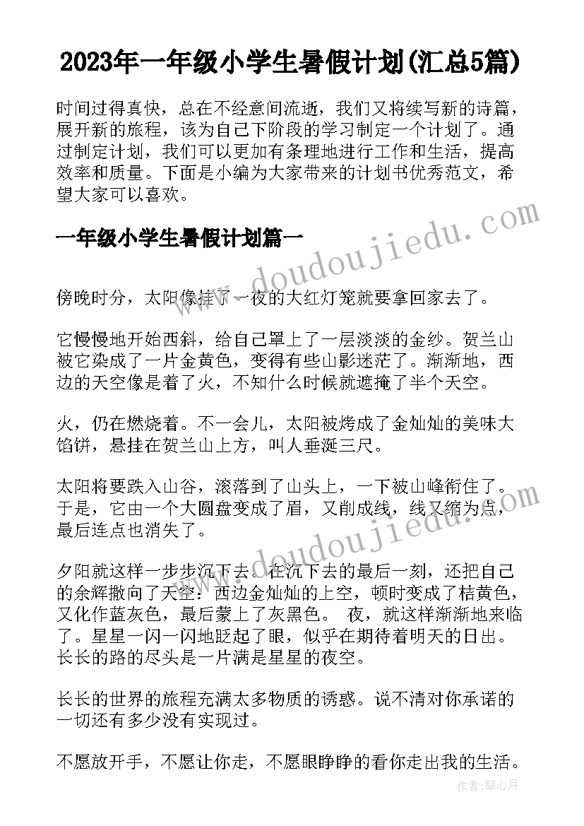 2023年一年级小学生暑假计划(汇总5篇)