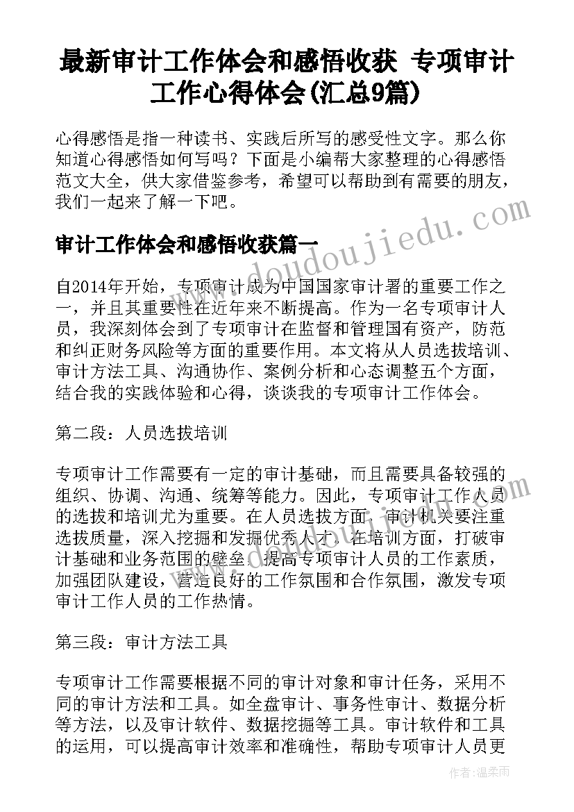 最新审计工作体会和感悟收获 专项审计工作心得体会(汇总9篇)