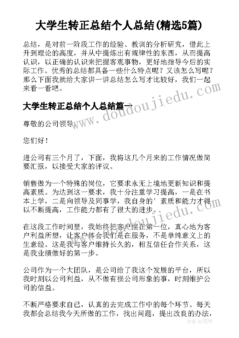 大学生转正总结个人总结(精选5篇)