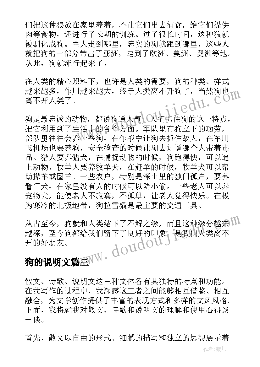 2023年狗的说明文 散文诗歌说明文的心得体会(优质6篇)