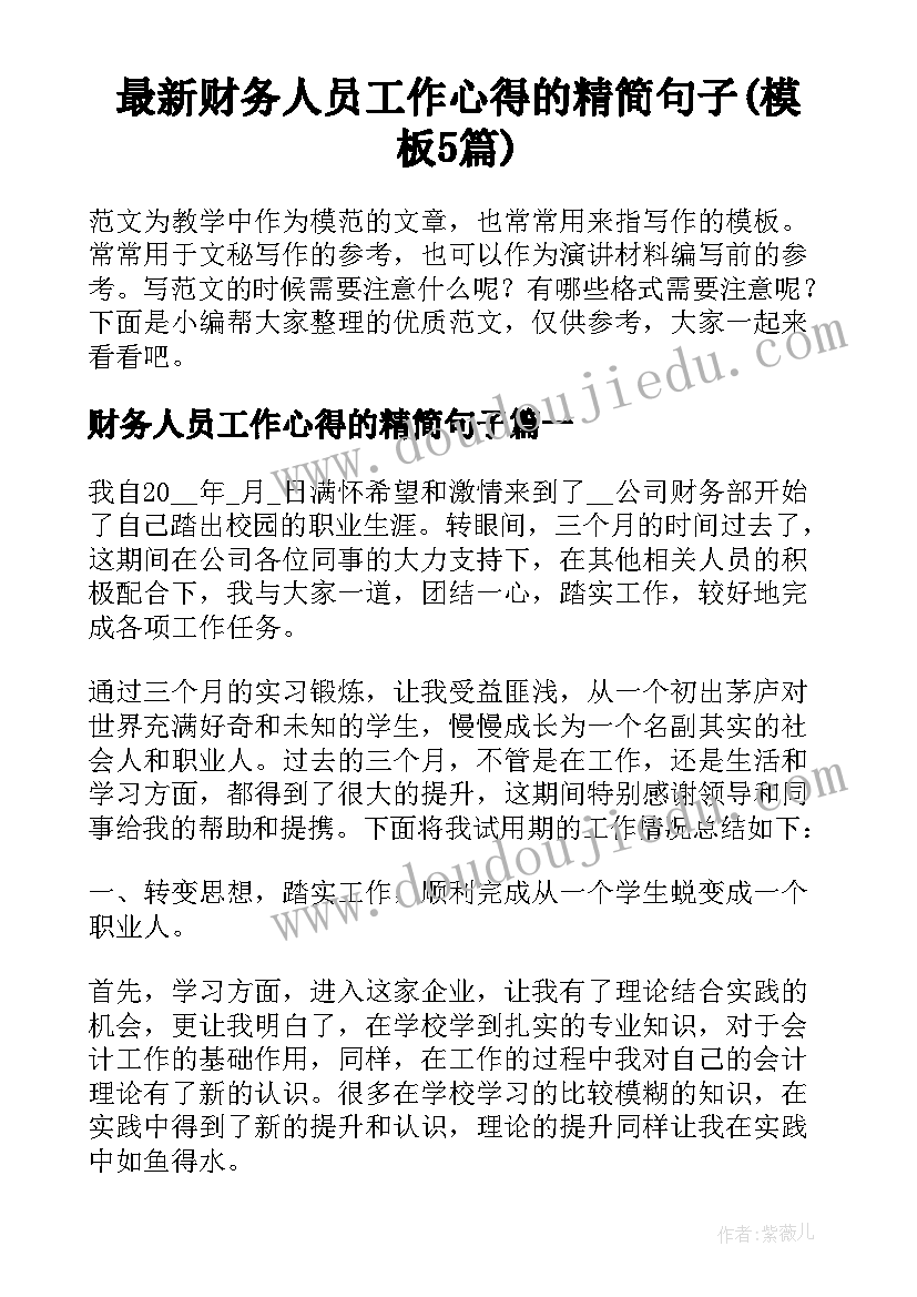 最新财务人员工作心得的精简句子(模板5篇)