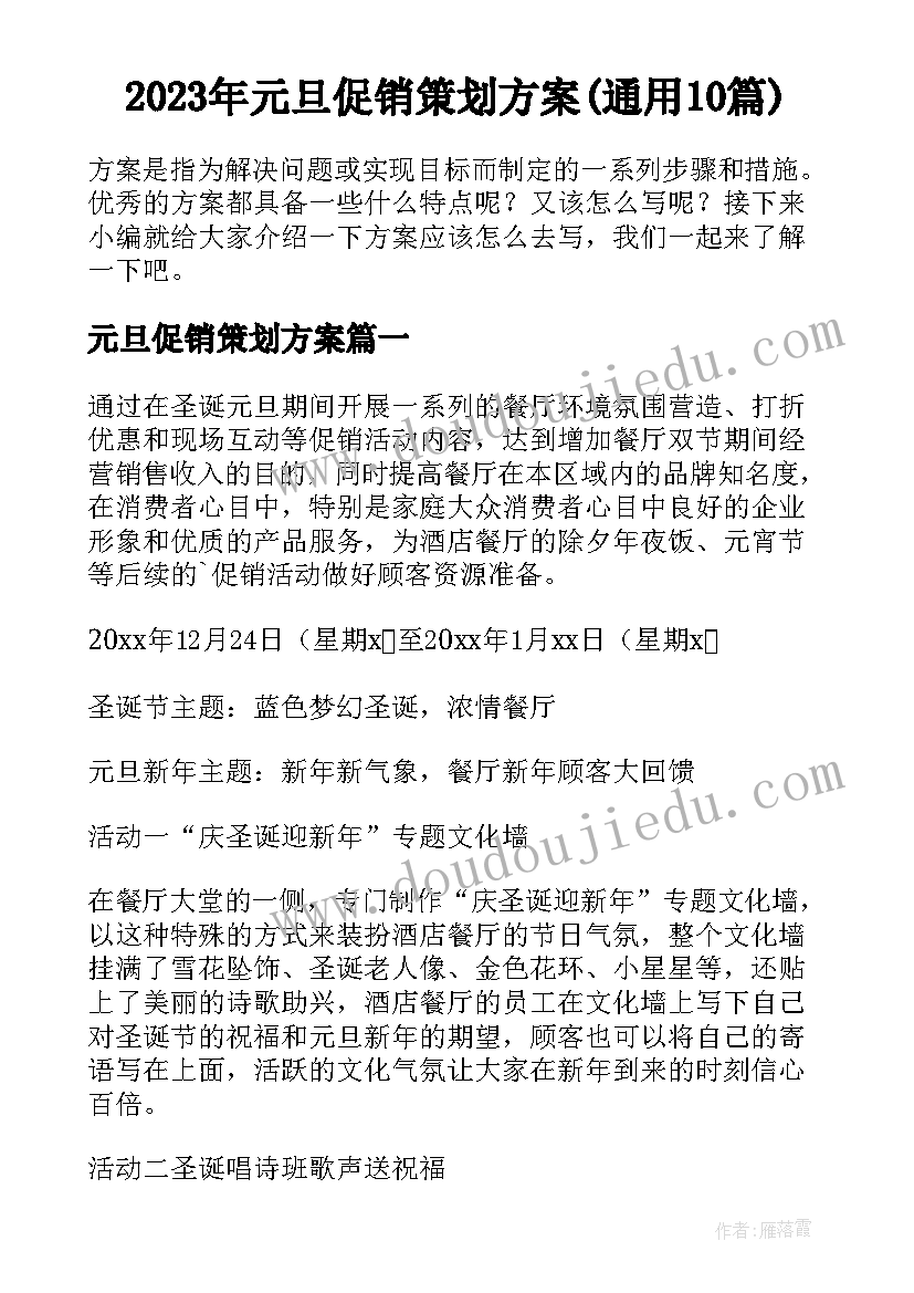 2023年元旦促销策划方案(通用10篇)