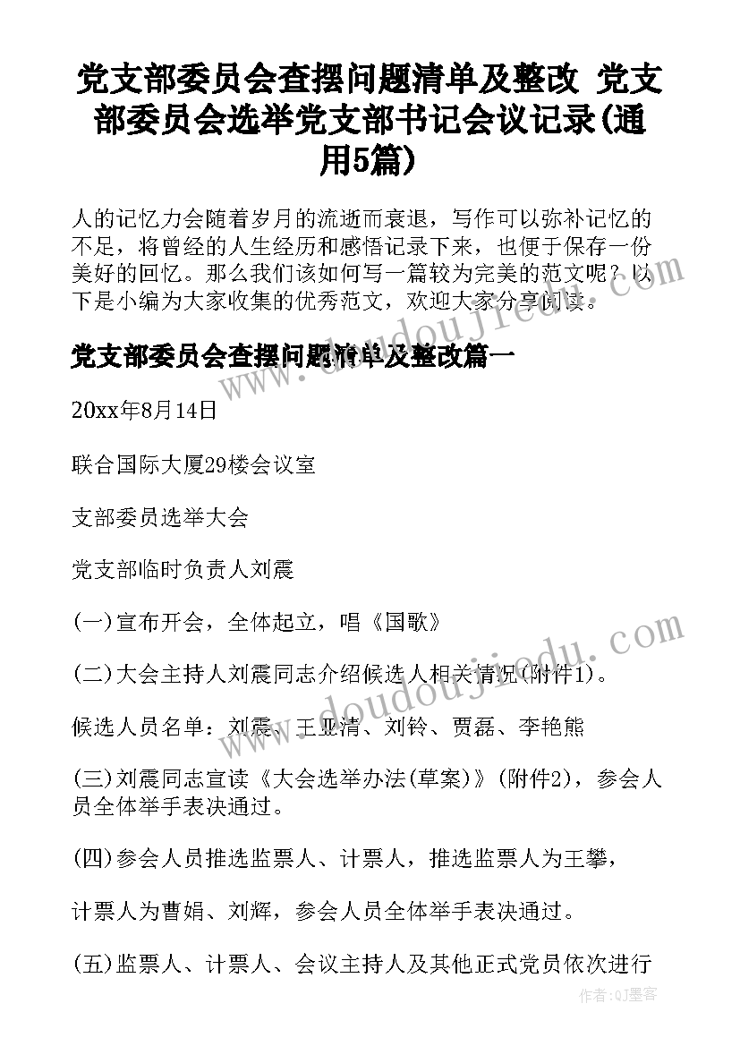 党支部委员会查摆问题清单及整改 党支部委员会选举党支部书记会议记录(通用5篇)