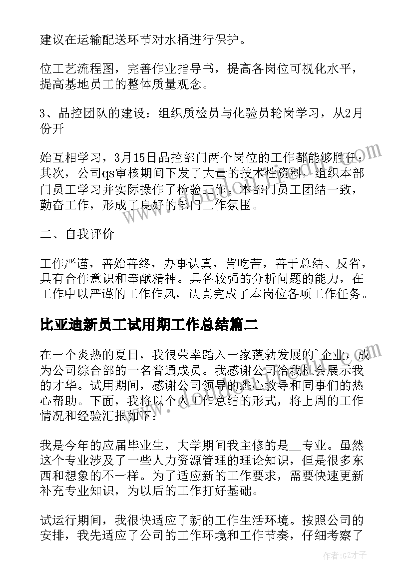 2023年比亚迪新员工试用期工作总结(大全5篇)