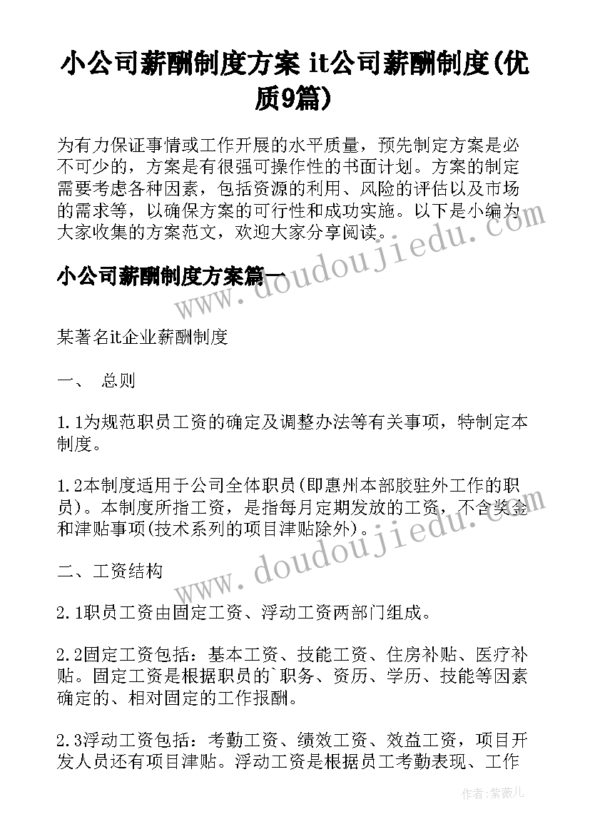 小公司薪酬制度方案 it公司薪酬制度(优质9篇)