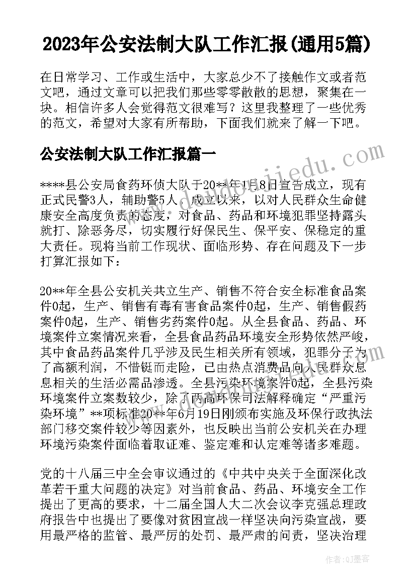 2023年公安法制大队工作汇报(通用5篇)