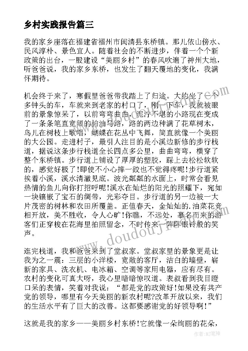 最新乡村实践报告(模板9篇)