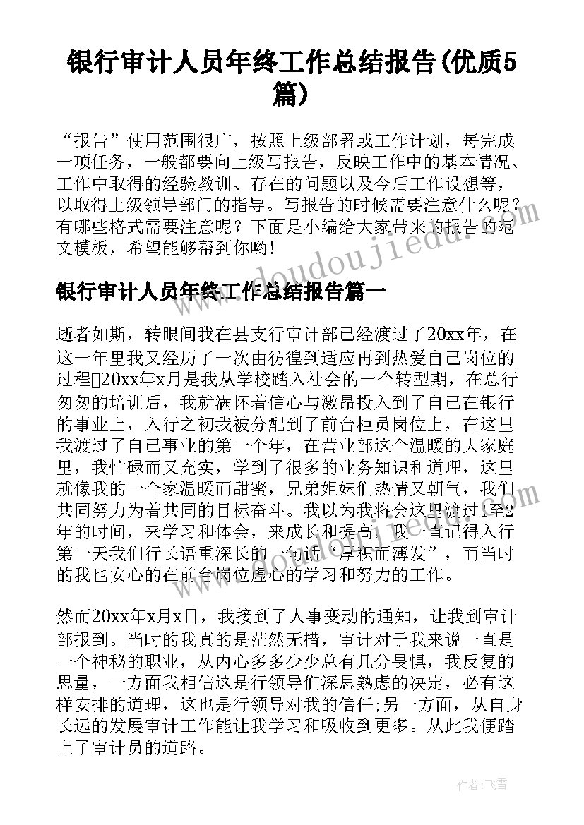 银行审计人员年终工作总结报告(优质5篇)