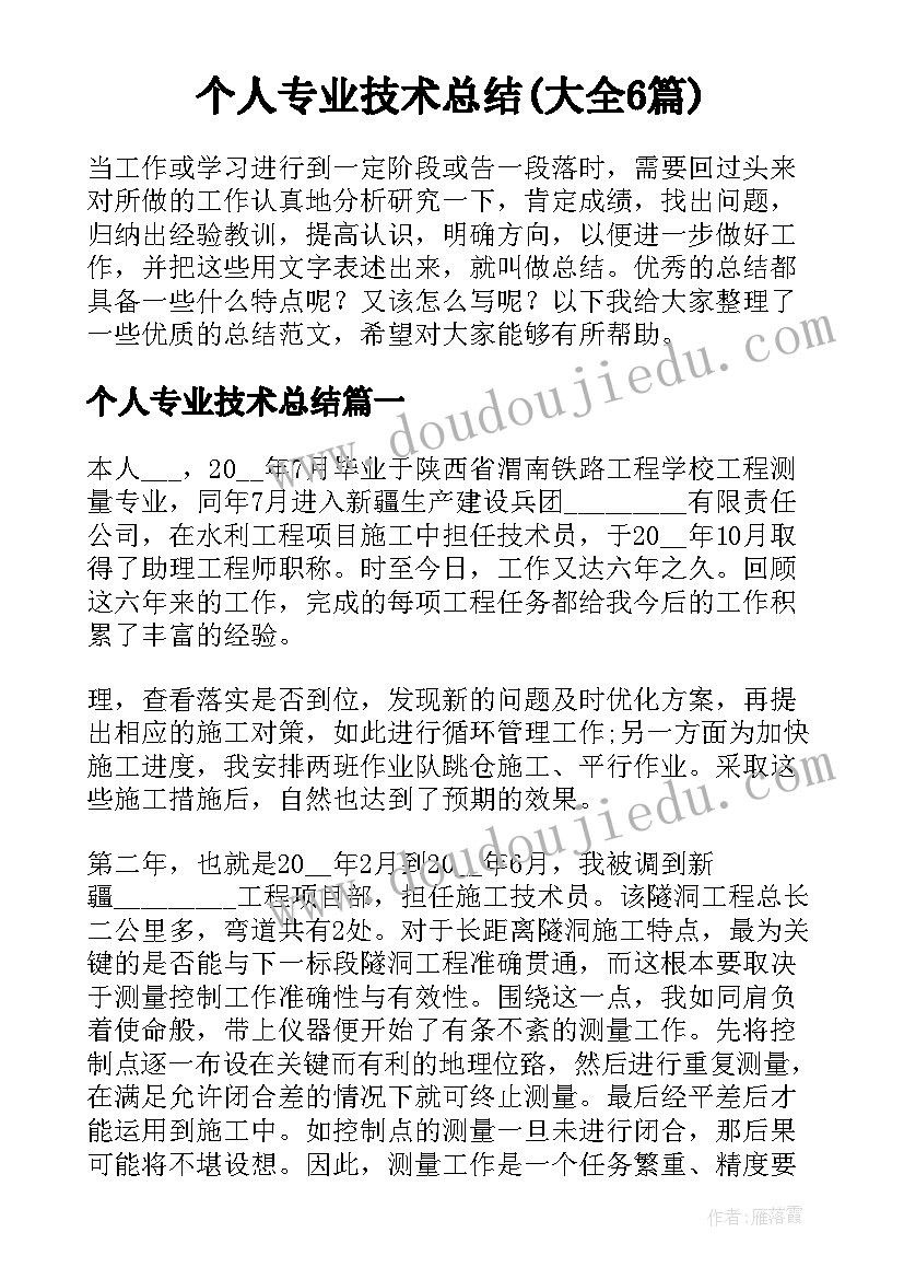 个人专业技术总结(大全6篇)