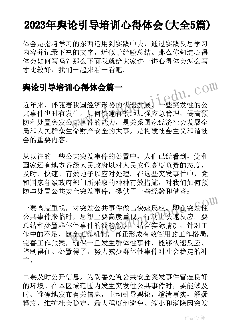 2023年舆论引导培训心得体会(大全5篇)