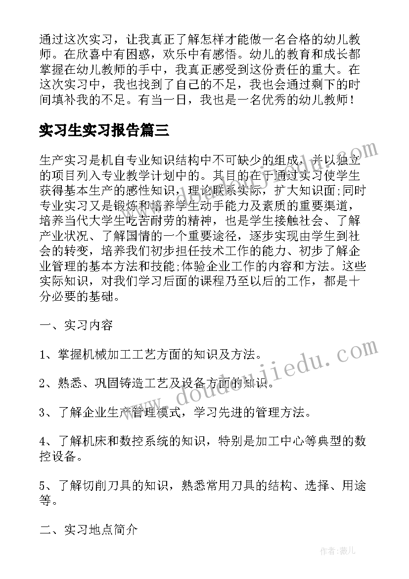 实习生实习报告 实习生实习报告总结(优质10篇)