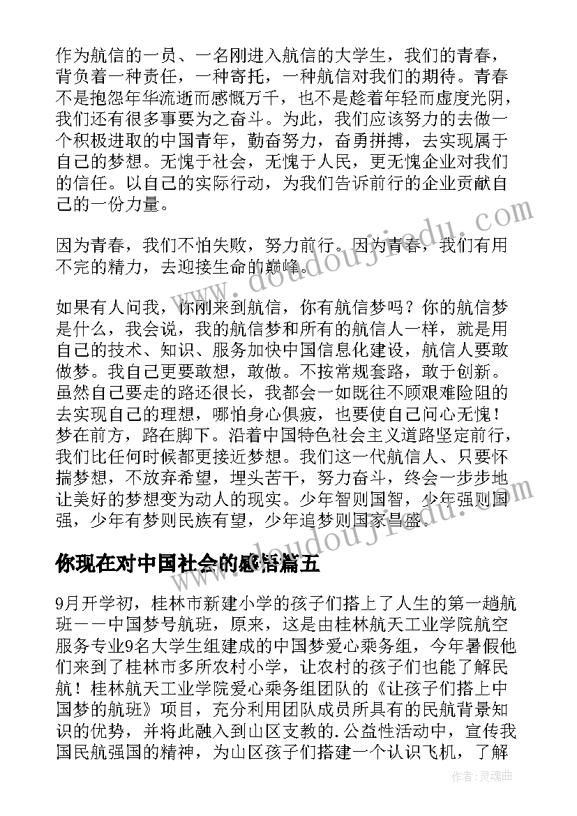 最新你现在对中国社会的感悟(汇总5篇)