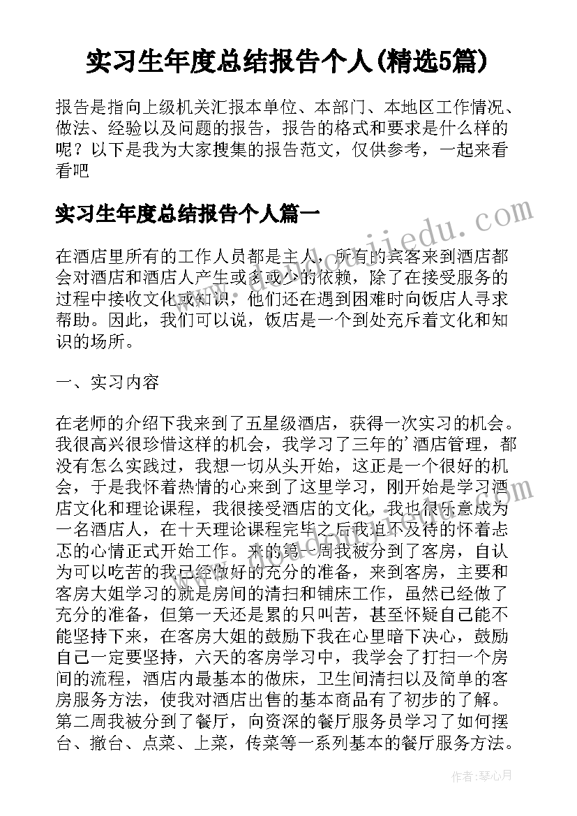 实习生年度总结报告个人(精选5篇)