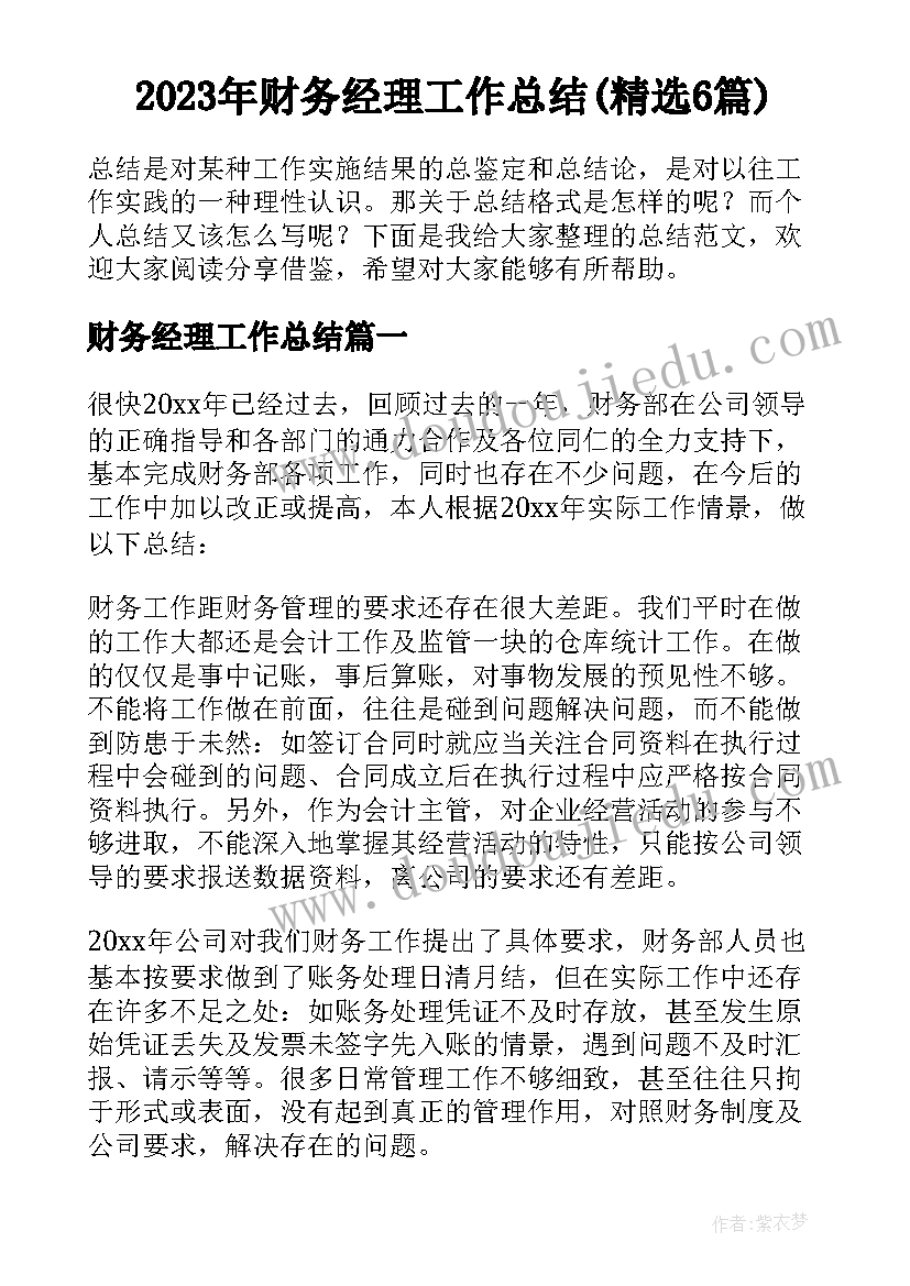 2023年财务经理工作总结(精选6篇)