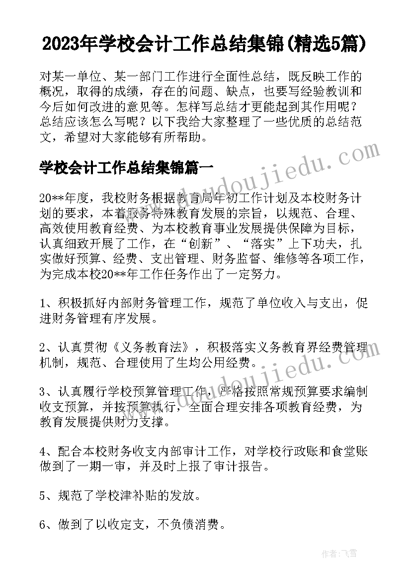 2023年学校会计工作总结集锦(精选5篇)