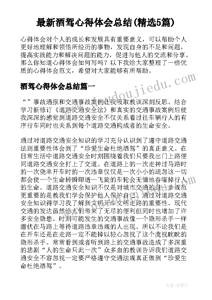 最新酒驾心得体会总结(精选5篇)