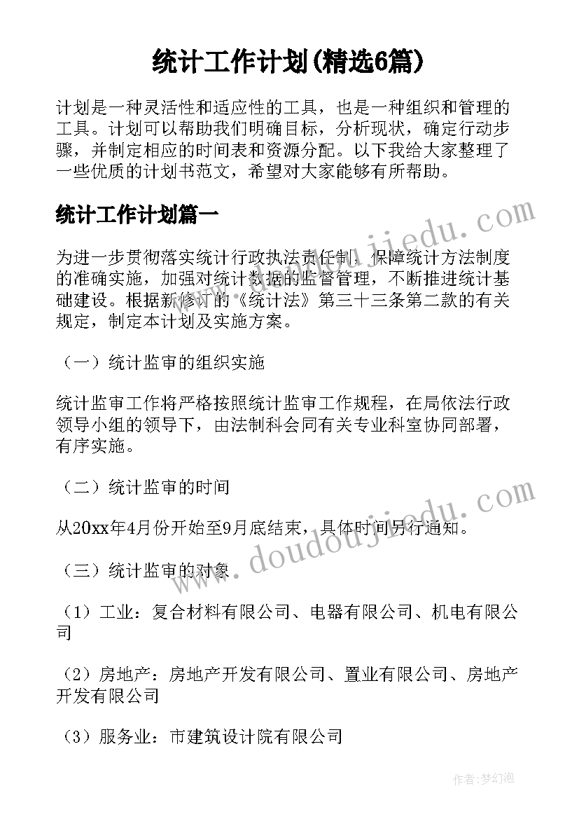 统计工作计划(精选6篇)