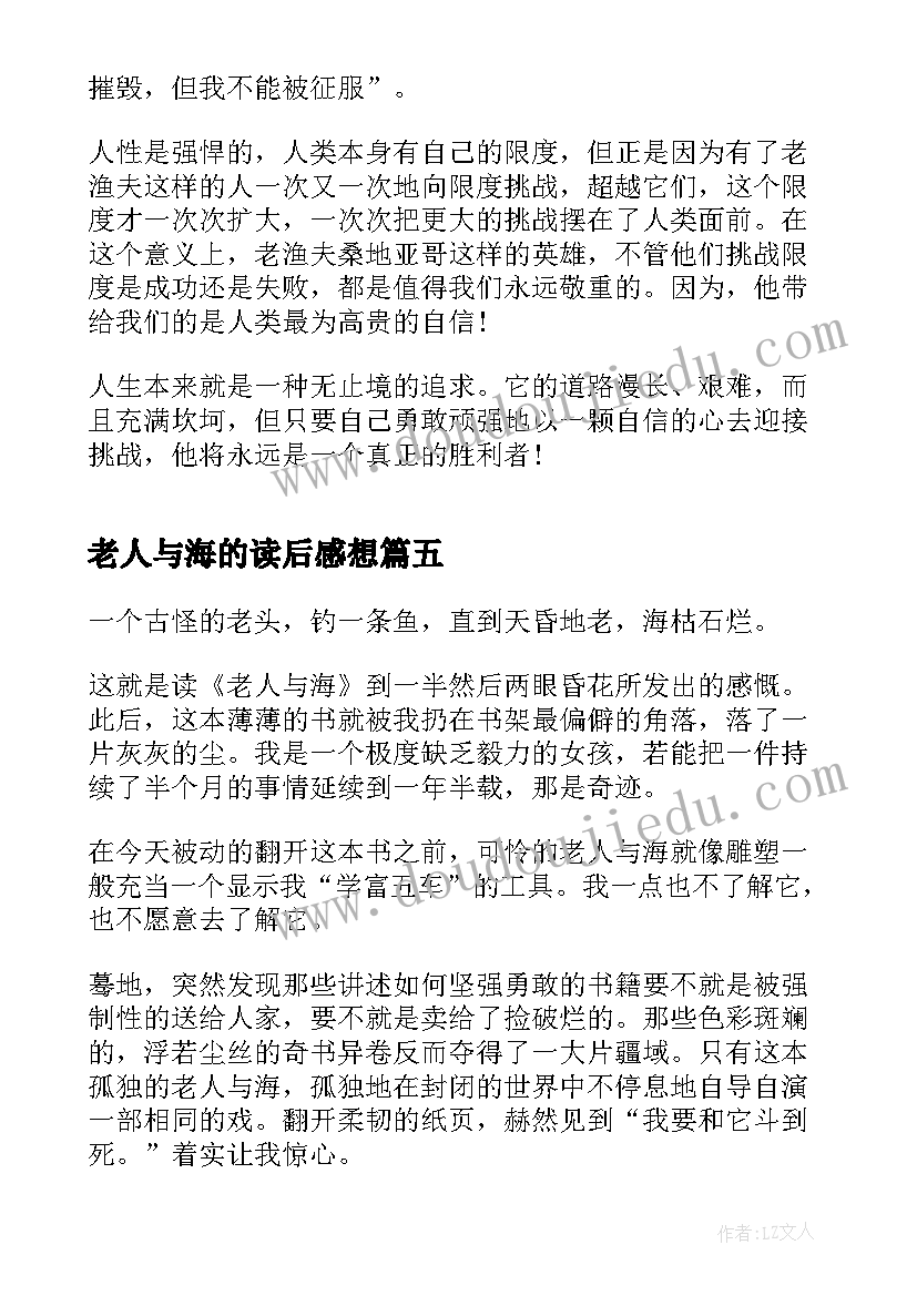 老人与海的读后感想 老人与海读后感感悟(大全5篇)