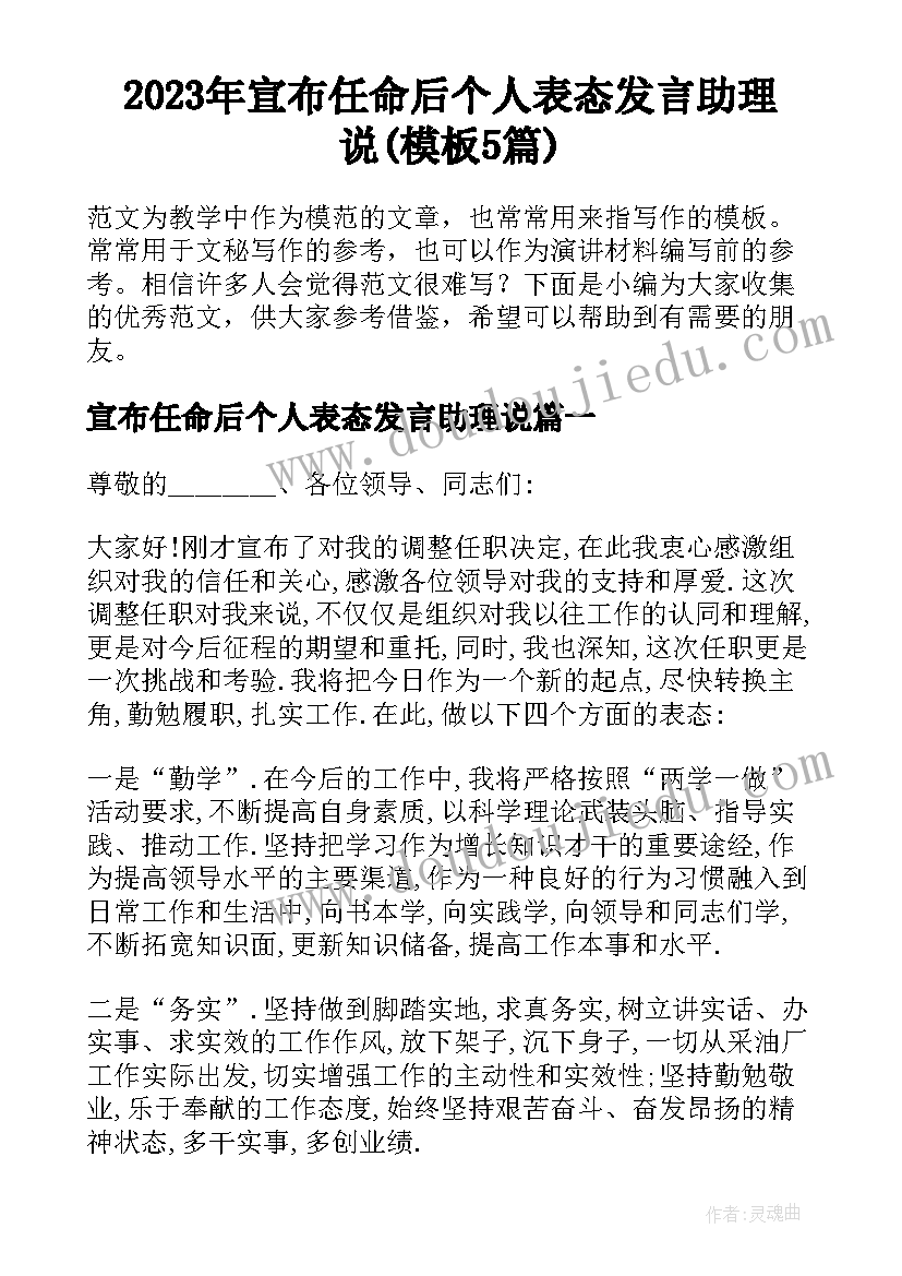 2023年宣布任命后个人表态发言助理说(模板5篇)