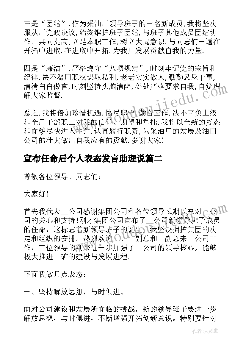 2023年宣布任命后个人表态发言助理说(模板5篇)