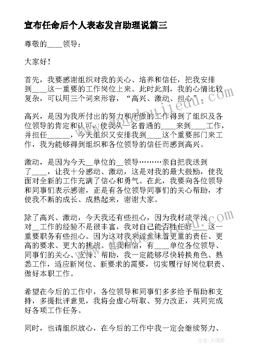 2023年宣布任命后个人表态发言助理说(模板5篇)