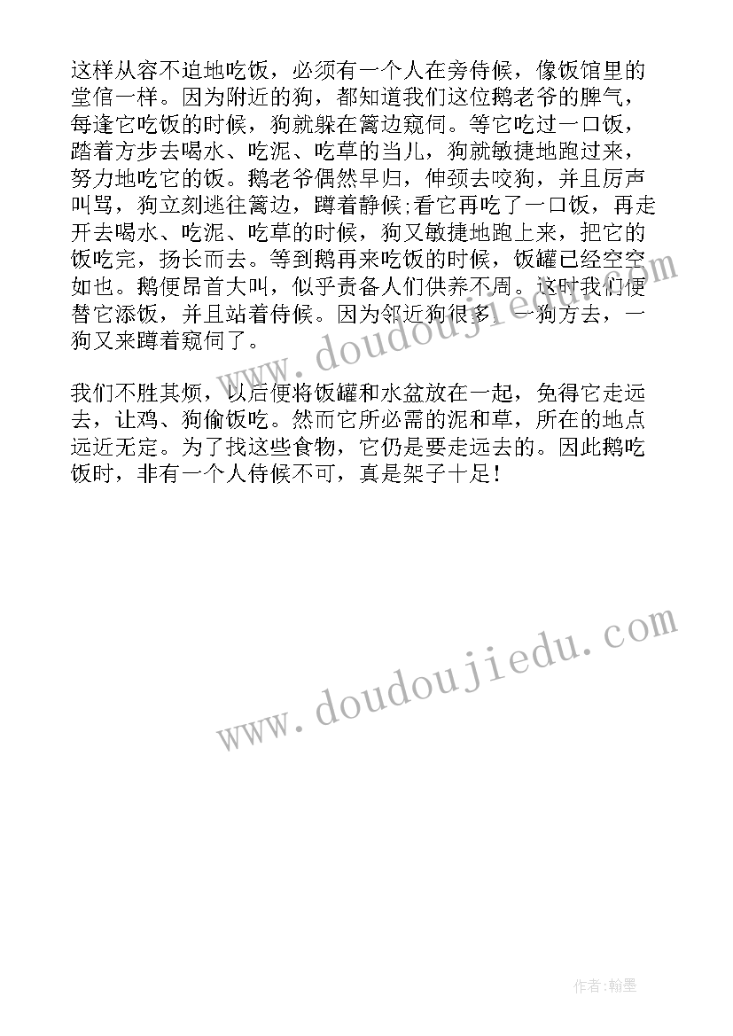 最新人教版四年级语文白鹅教案设计(实用7篇)