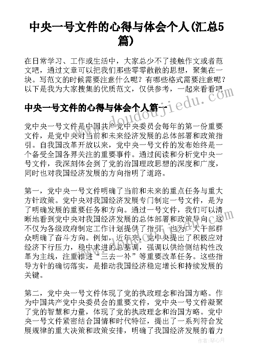 中央一号文件的心得与体会个人(汇总5篇)