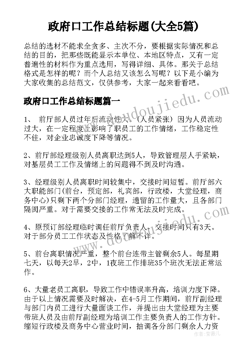 政府口工作总结标题(大全5篇)