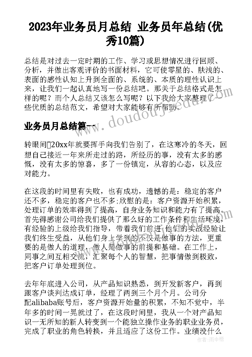 2023年业务员月总结 业务员年总结(优秀10篇)