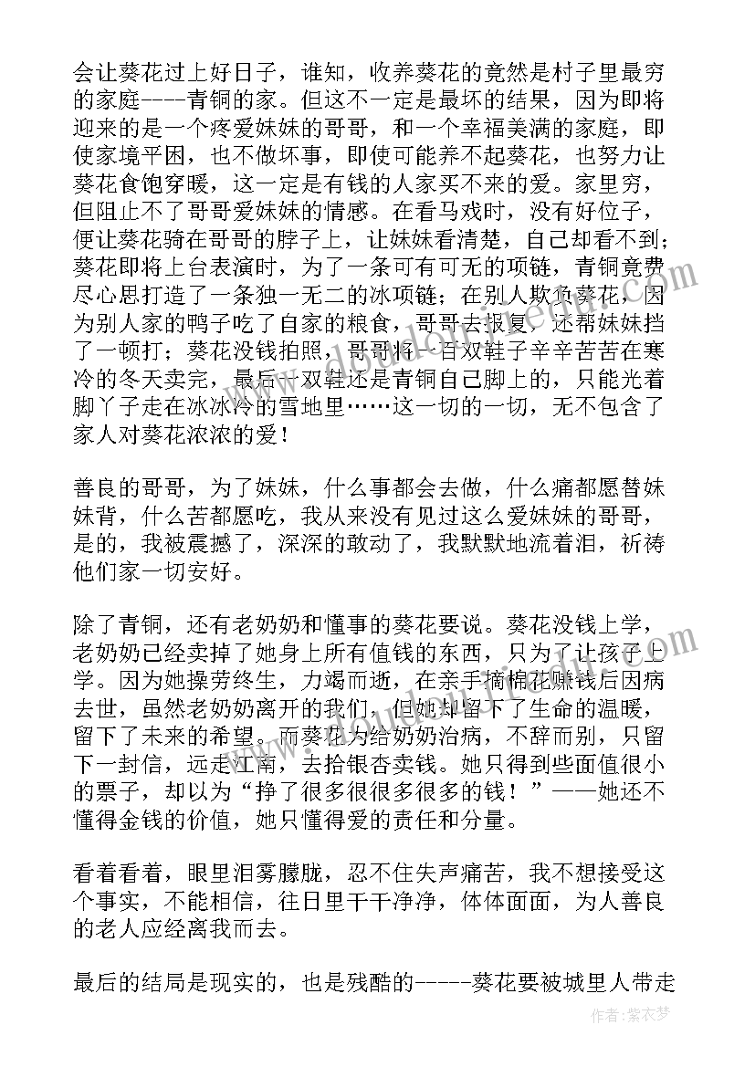 2023年青铜葵花读书心得(大全9篇)